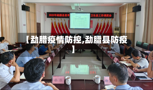 【勐腊疫情防控,勐腊县防疫】-第3张图片