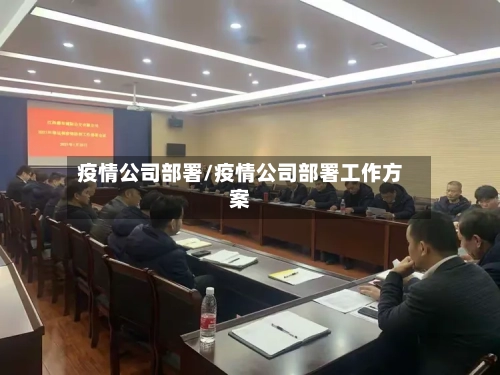 疫情公司部署/疫情公司部署工作方案