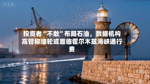 投资者“不敢	”布局石油	，数据机构高管称油轮或面临霍尔木兹海峡通行费-第2张图片