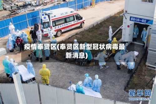 疫情奉贤区(奉贤区新型冠状病毒最新消息)-第3张图片
