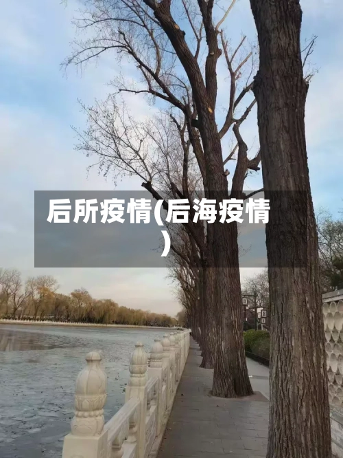 后所疫情(后海疫情)-第3张图片