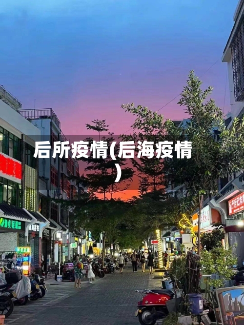 后所疫情(后海疫情)