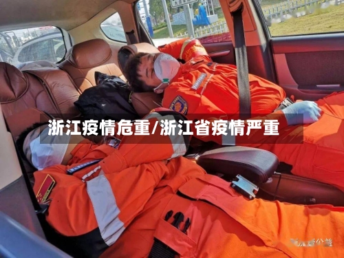 浙江疫情危重/浙江省疫情严重